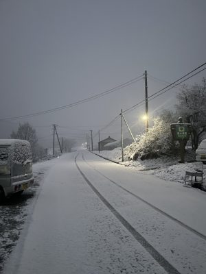 飛騨地方で雪が降りました！